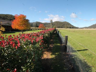 494 Giants Creek Road, Sandy Hollow
