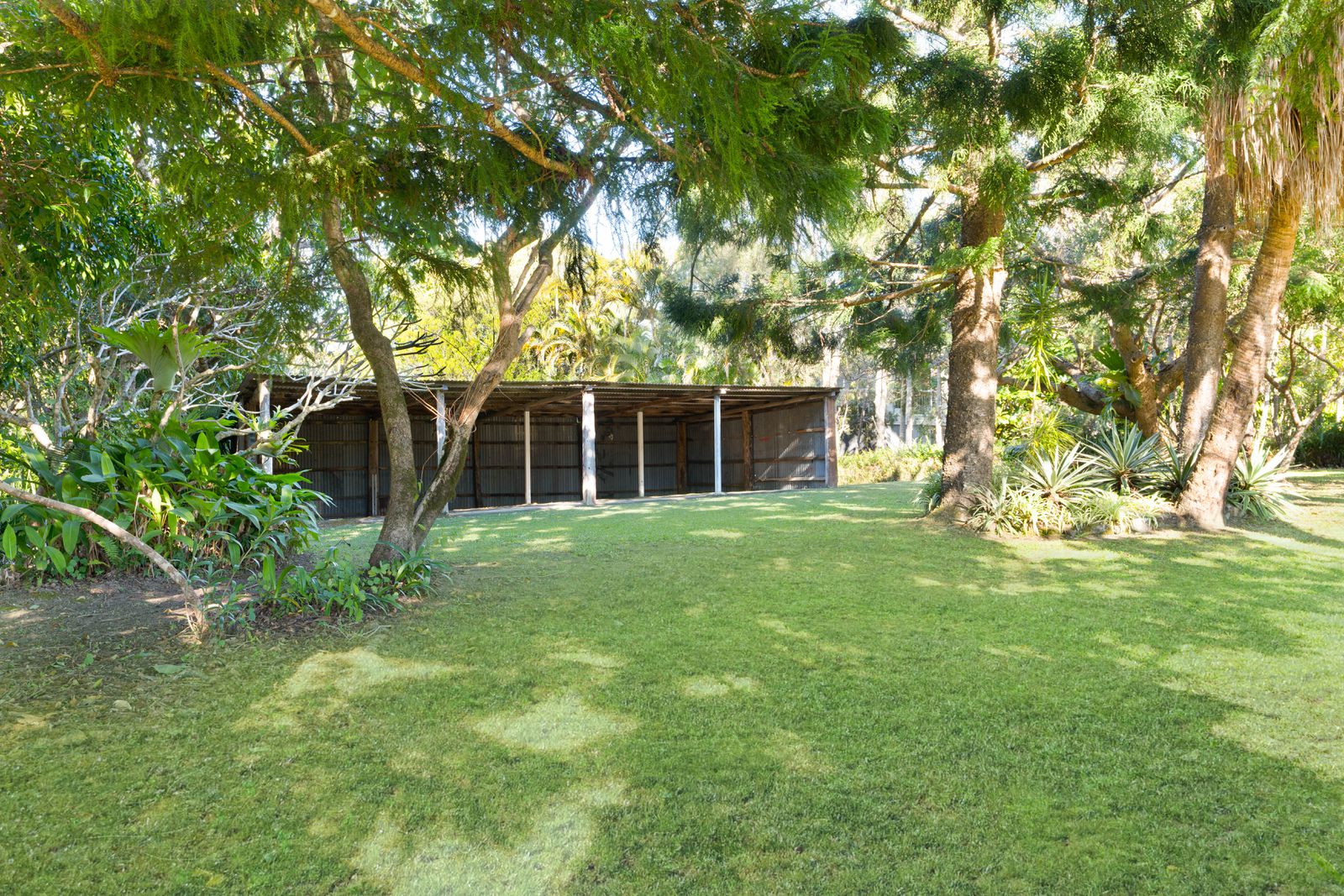 Photo 5 of 15, 17 Coveys Road, Tinbeerwah