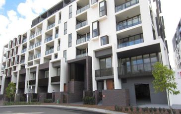 503 / 17 Grattan Close, Forest Lodge