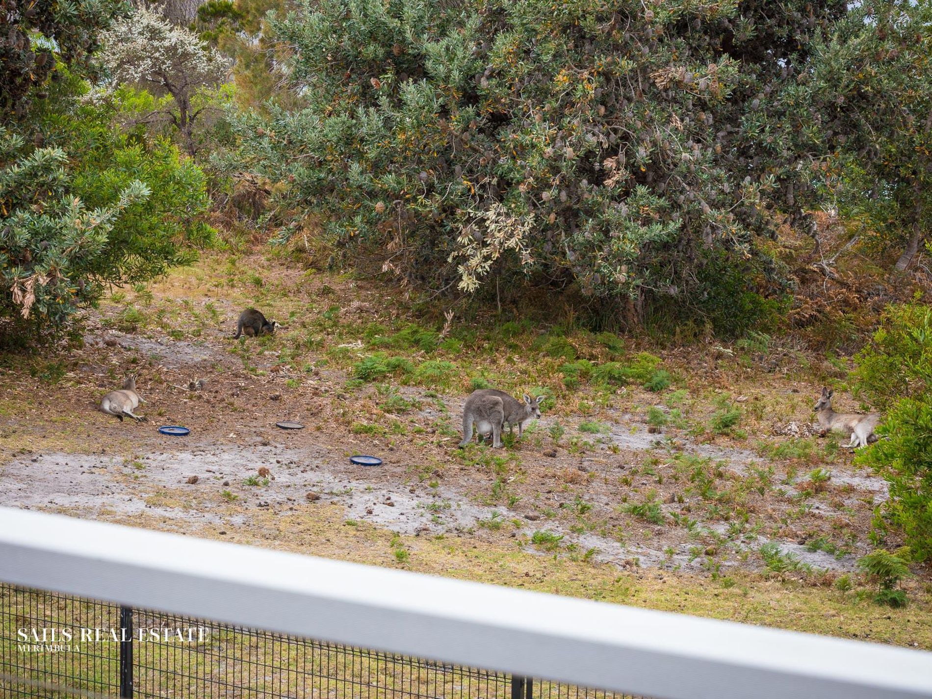 2 / 180 Pacific Way, Tura Beach