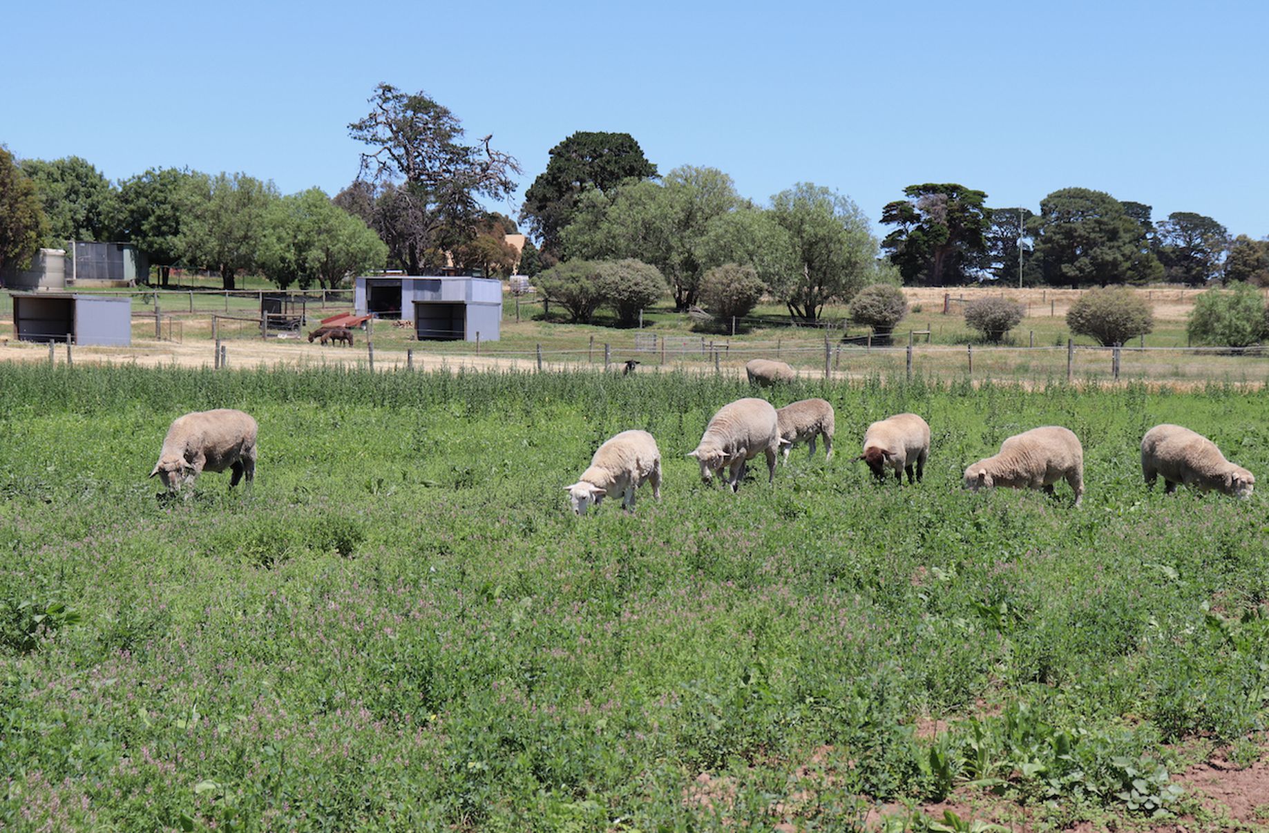 56 CEMETERY ROAD, Inverleigh