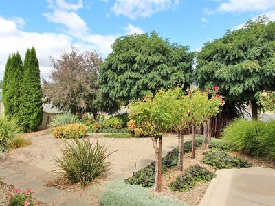 11 Mitchell Court, Mansfield
