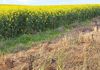 155 Claypans Road, Copeville