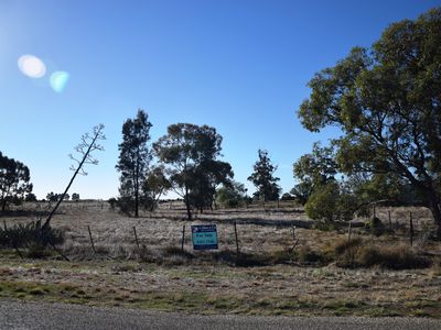 Macorna