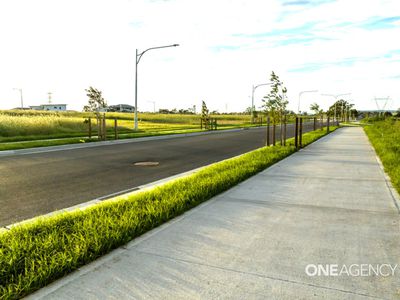 Lot 310 Lot 310 Lot 310 8 Sundew Street, Horsley