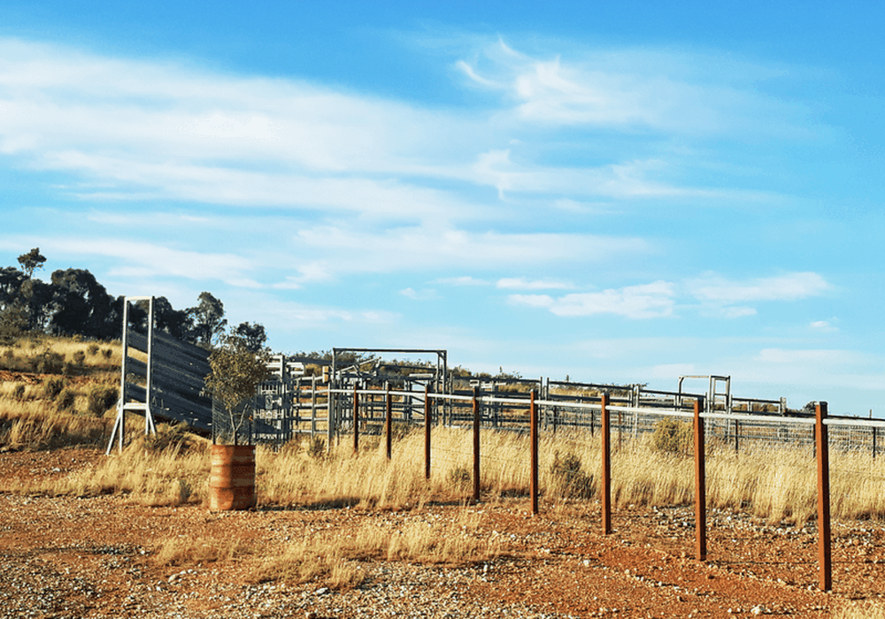 660 Kerrs Creek Road, Kerrs Creek