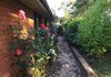 589 Cadia Road, Orange