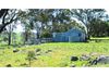 1039 Mitchell Highway, Orange
