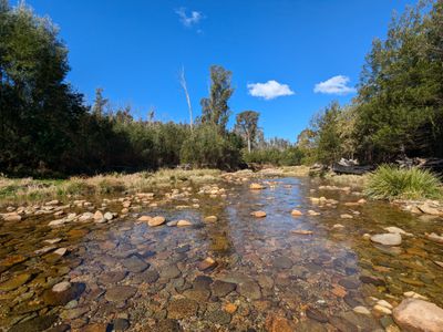 115 Gulph Creek Road, Nerrigundah