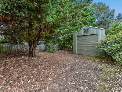 351 Tantanoola Road, Tantanoola