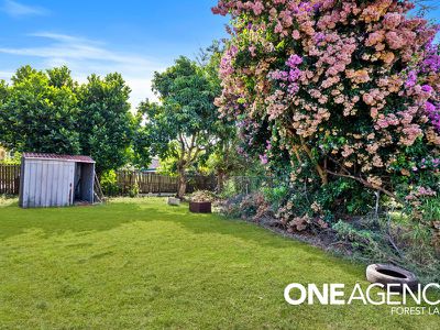 3 Holly St, Inala