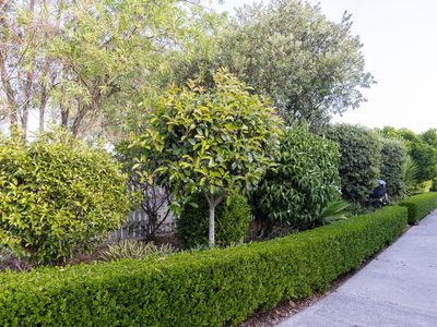 24 Manchester Street, Tinonee