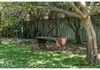 13 Benview Avenue, Orange