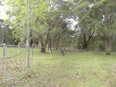 23 Golfcourse Way, Sussex Inlet