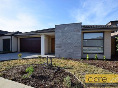 16 WENN AVENUE, Clyde North