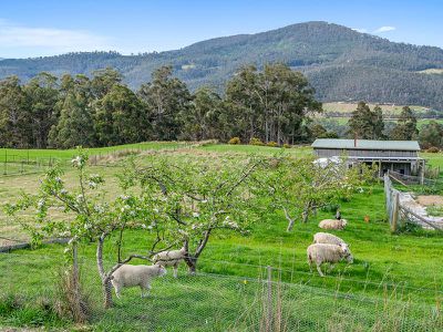 108 Deans Road, Glen Huon
