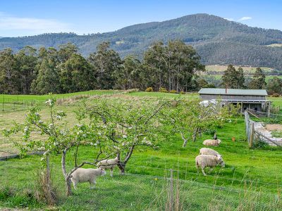 108 Deans Road, Glen Huon