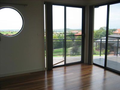 Blackbutt