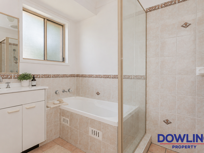 85 Kindlebark Drive, Medowie