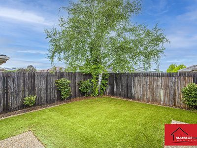 77 Christina Stead Street, Franklin