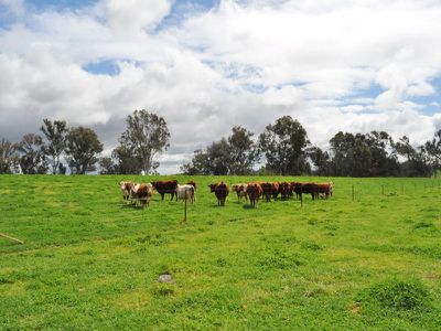Snowdons Road, Bonegilla