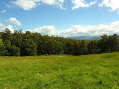 Lot 5 Misty Hill Road, Mountain River