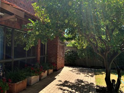 29 Trusley Way, Karrinyup