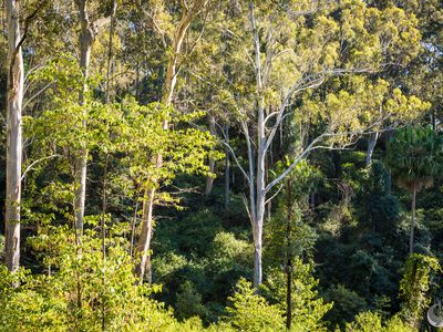 212 Ridge Road, Central Tilba