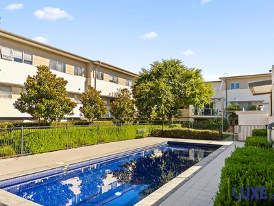 42 / 311 Flemington Road, Franklin