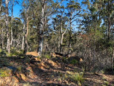 123 Lake View Road, Lake Leake