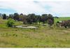 839 Gum Flat Road, Euchareena