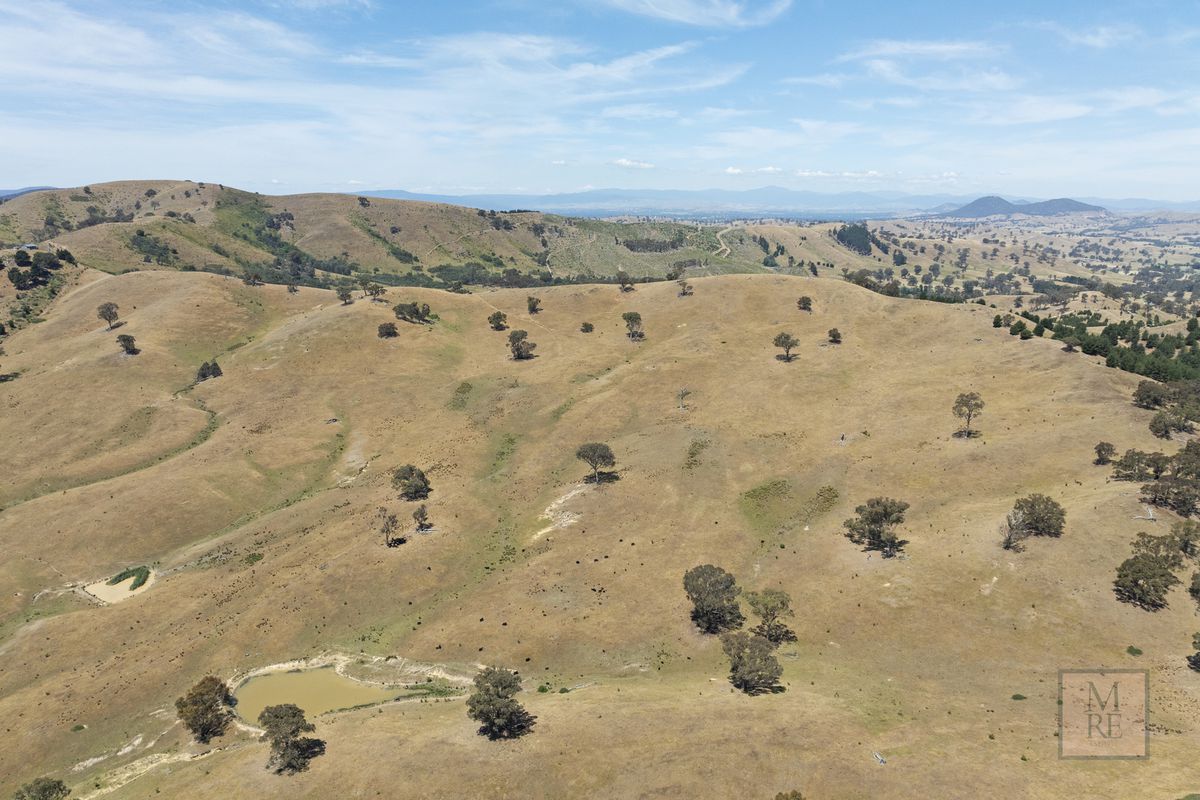 'Dalhaven' via Hells Hole Creek Road, Bonnie Doon