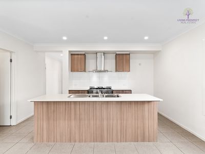 13 Aylesbury Avenue, Truganina