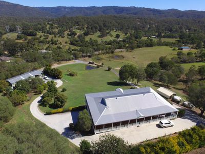 142 Birds Road, Guanaba