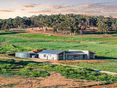 254 Guernsey Rise, Chittering