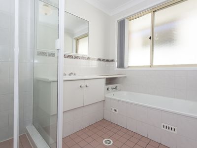146 Coachwood Drive, Medowie