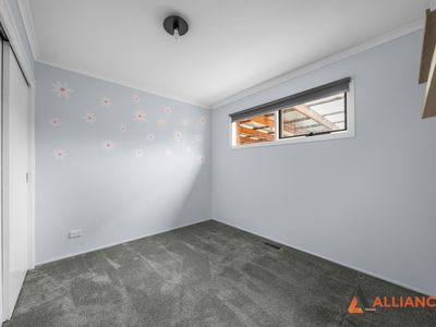 11 Danaher Avenue, Wallan