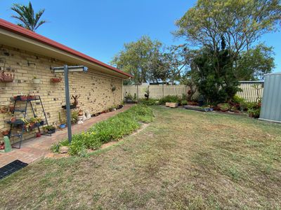 45 Ibis Boulevard, Eli Waters