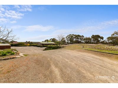 103B Sambell Road, One Tree Hill