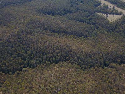 702 Comboyne Road, Byabarra