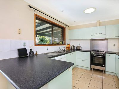 19 Rainbird Court, Palmwoods
