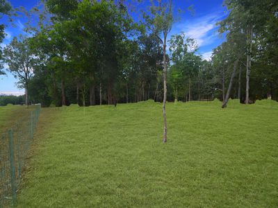 216 LILY CREEK ROAD, Cardwell