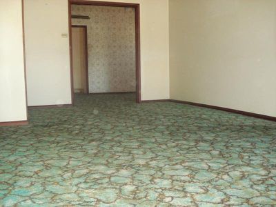 71 Ferguson Avenue, Wiley Park