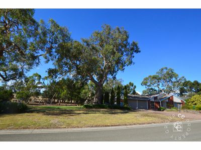 1 Giles Thorpe Crescent, Mount Pleasant