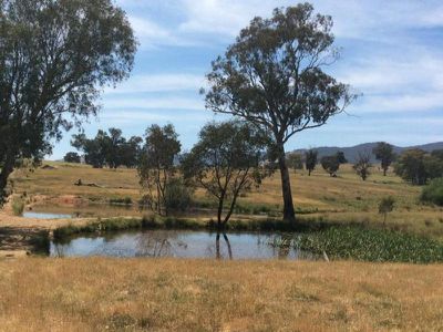 Mongan Lane, Yackandandah