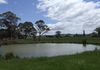 4 Spring Terrace Road, Orange