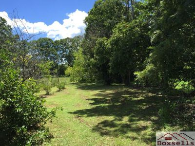 5 Palamino Court, Maleny