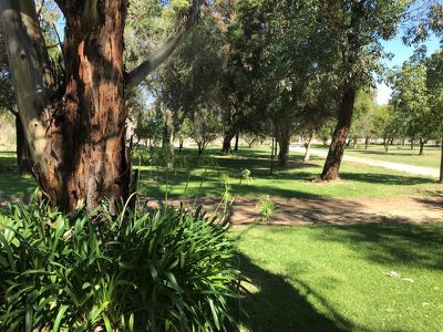 Barham Road, Moulamein