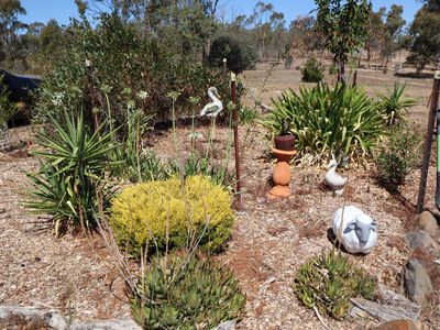 169 Wappentake Road, Heathcote
