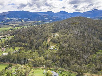 61 Turn Creek Road, Grove